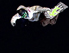 Snowboarder im Sprung